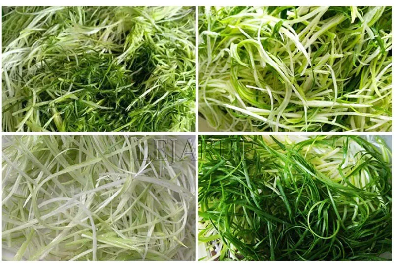 

320W Full Automatic Scallion Shredder Cutting Machine Food Shredder Carrot Shredder