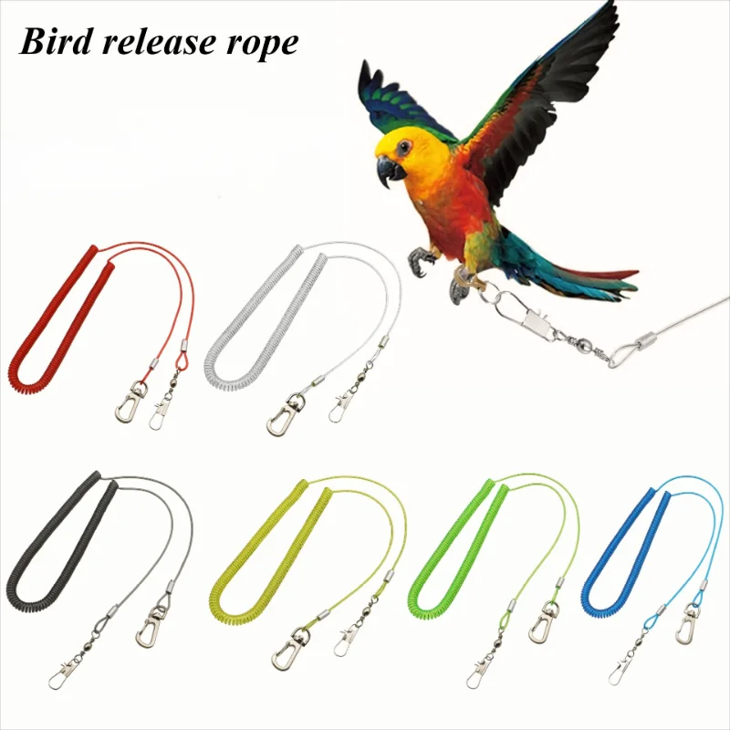 2M Parrot Flight Training Leash Kit, Anti-Bite Durable Wire Rope, Outdoor Flying Line for Pet Birds, Bird Supplies Safety 1pc