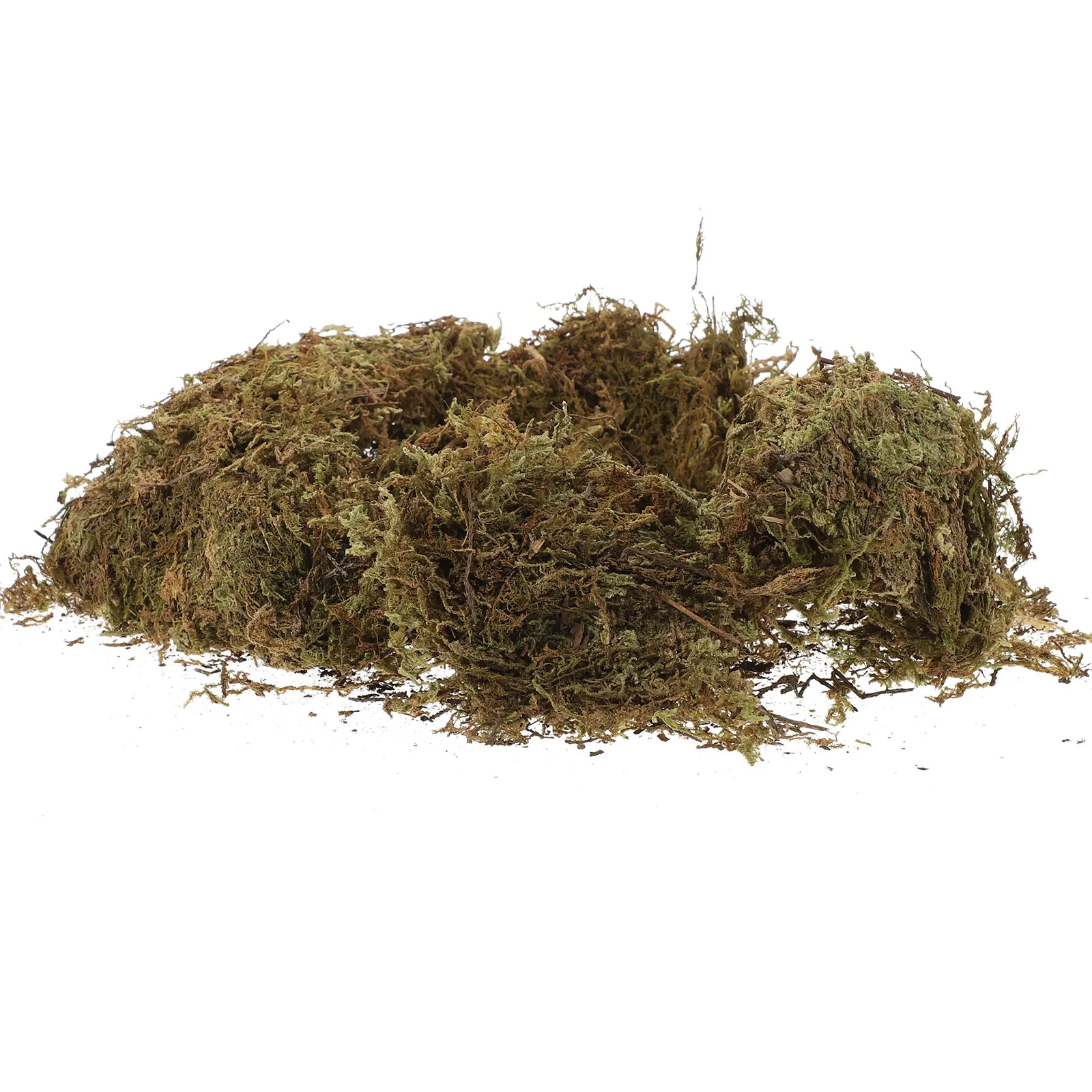 2 Packungen getrocknetes Moos – Preserved Moss Sheet Bewertung und Preis