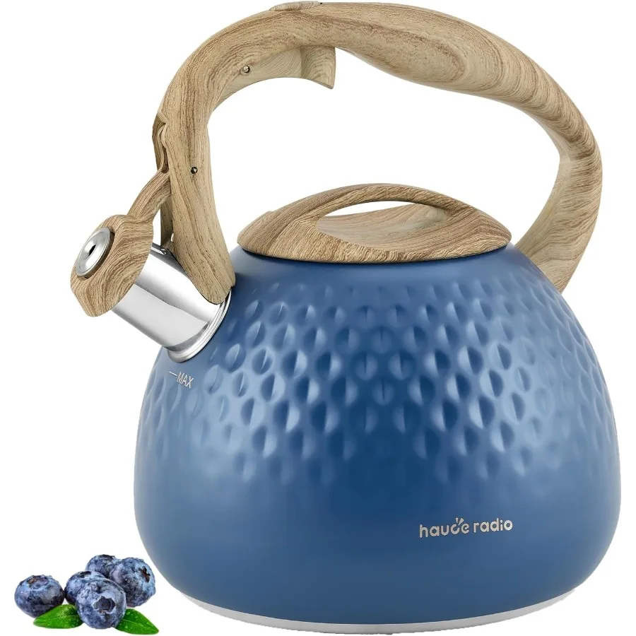 

Чайник на плите емкостью 2,5 литра с громким свистком для эффективного кипячения пищевой конструкции из нержавеющей стали, эргономичный, против горячей