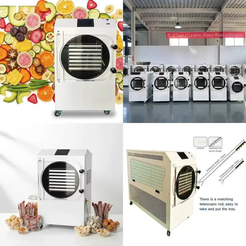 Large Commercial Freeze Dryer 50Kg, Suitable For Vacuum Freeze-Drying Equipment In The Food Processing Industry