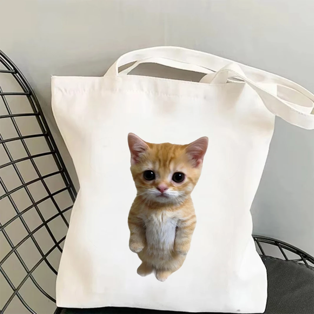 

1 шт. Сумка-шоппер из холщовой ткани с забавным принтом в стиле мемов с изображением кошек и хомяков, прочная сумка через плечо для повседневных поездок, работы и учебы