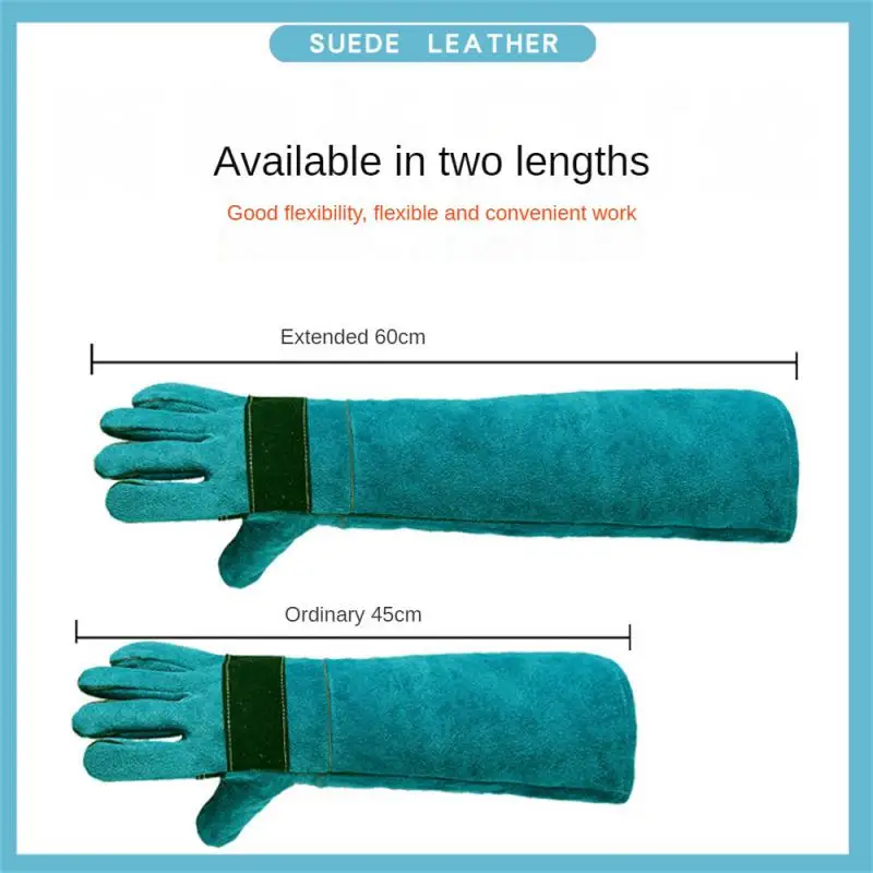 Pet Feeding Anti-bite Gloves Green Wear Resistance High Toughness Anti-bite Good Tear Resistance Pet Supplies Cowhide Gloves