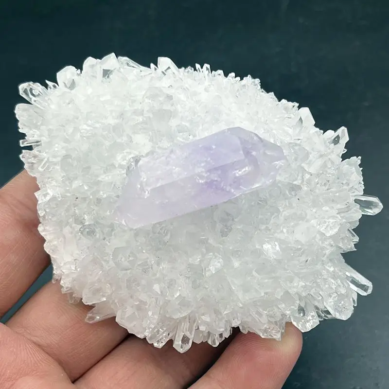 

100% natural chrysanthemum crystal cluster and amethyst symbiosis crystal mineral specimen