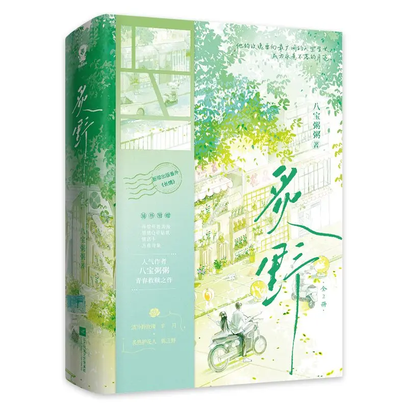 

Wild Field Heartwarming Healing Youth Campus Romance Novel
