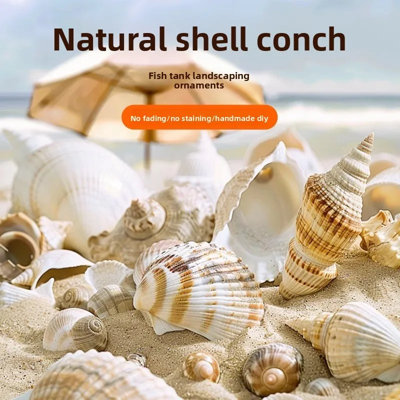 

FKSC Natural Seashell Decor for Aquariums-Real Conch,Starfish&Hermit Crab Shells-Ocean-Themed Ornaments&Hideouts for Fish Tanks