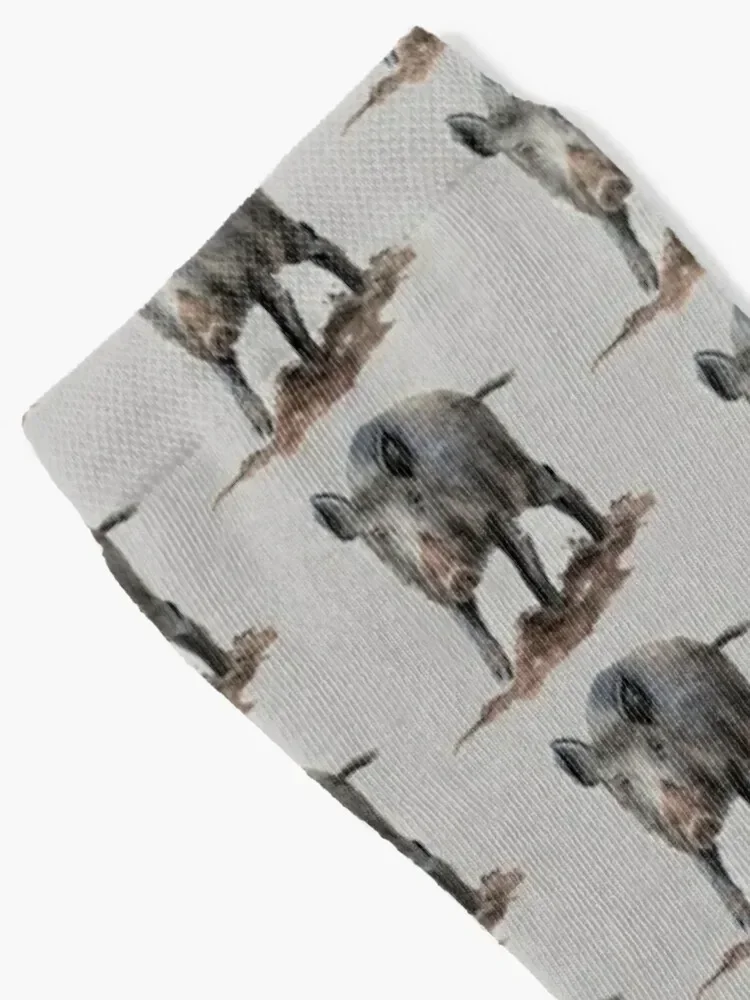 イノシシ 2/3 ソックス ノベルティ 新年 子供用 男性用ソックス 女性用