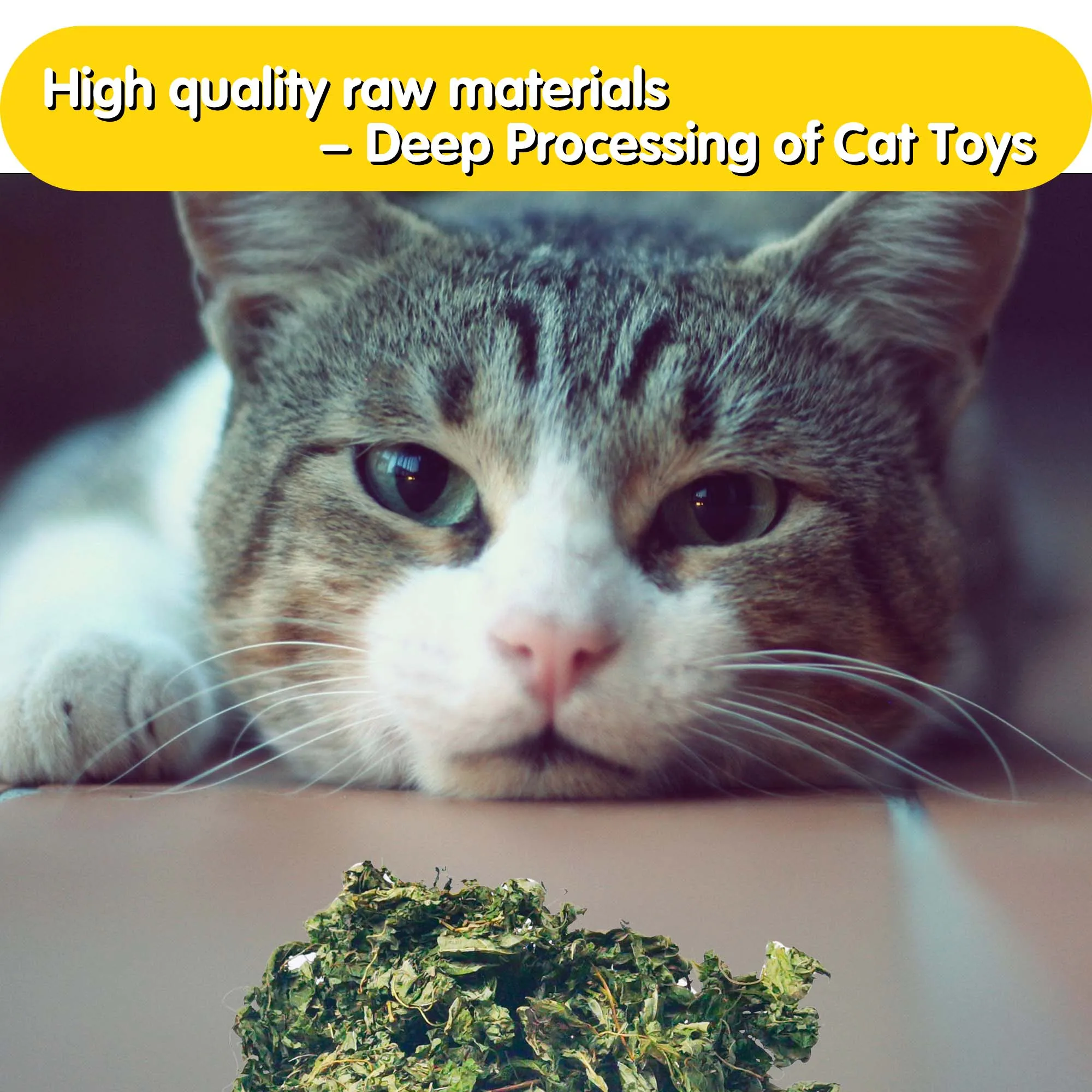 Oitabi 1000g Natural Silvervine leaves for Kittens Teeth Cleaning Matatabi Dental Care Increase Appetite Calm Cat Anxiety Stress