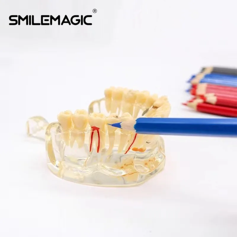 Marcador Intraoral Oral Dentário, Dentadura Esterilizável, Reparo de dentes falsos, Sign Line Drawing Pen, Ferramenta de Material Odontológico