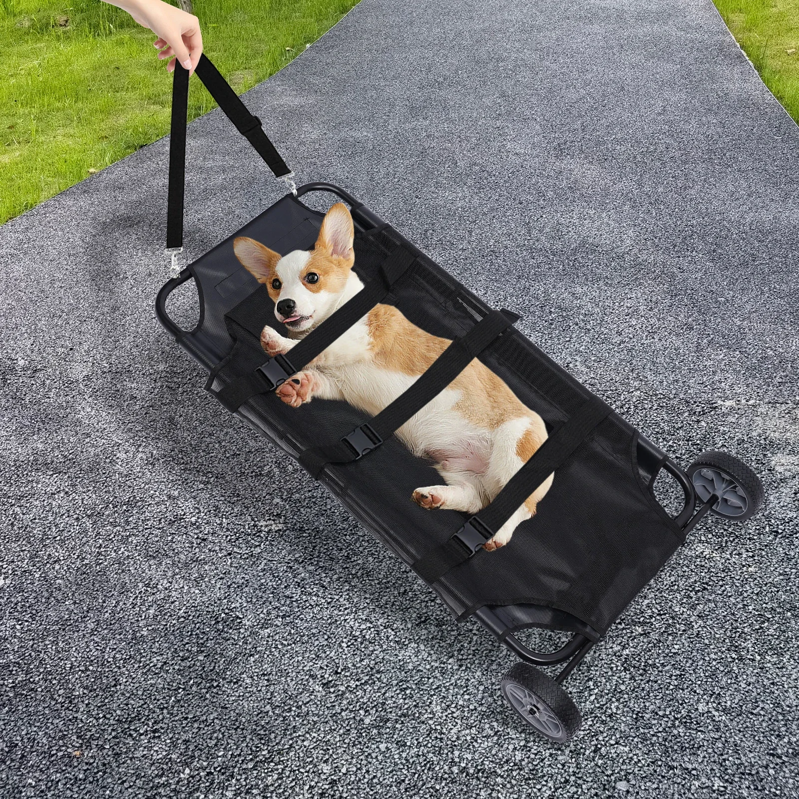 

Adjustable Shoulder Strap Animal Stretcher Pet Trolley with Wheels Max Loading 110lbs Professional Family Pet Accessories