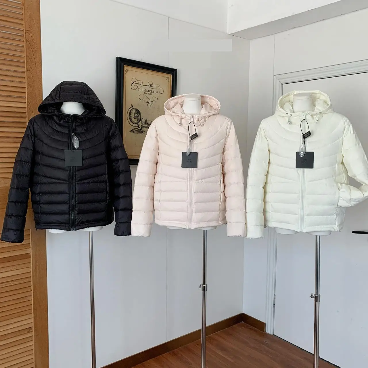 Dames herfst winter lichte capuchon witte eendendons jas dame dikke warme effen kleur ritssluiting lange mouw losse dons uitloper top