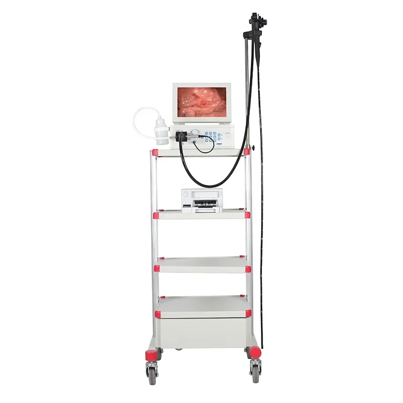 MY-P053 HD electronic gastroscope colonoscope endoscope trolley all in one medical video  system