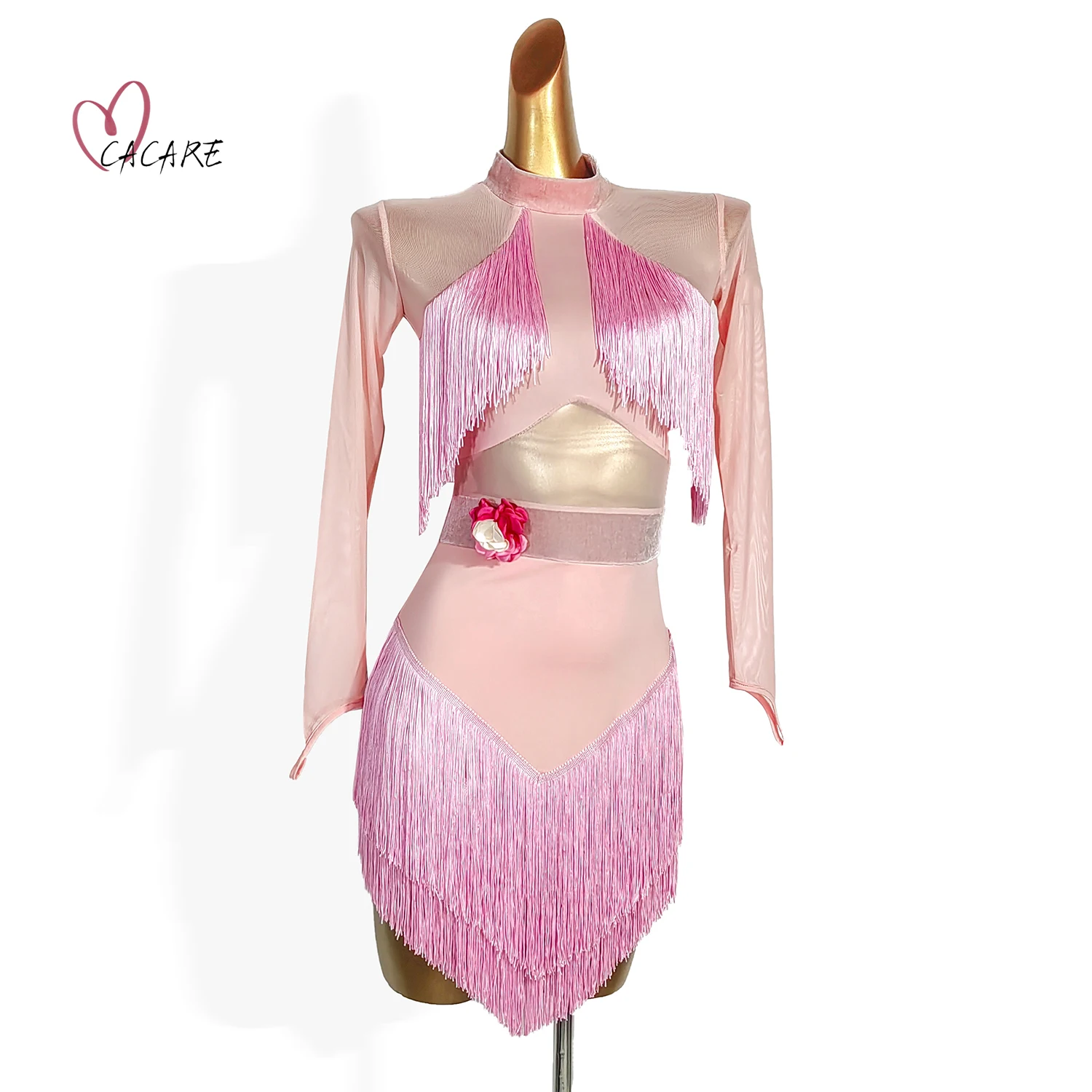 2024 Latin Dance One Piece Dress Sexy Stage Costume Female Dance Suit Dresses for Women Dance Wear Samba Latino Fringed 0195