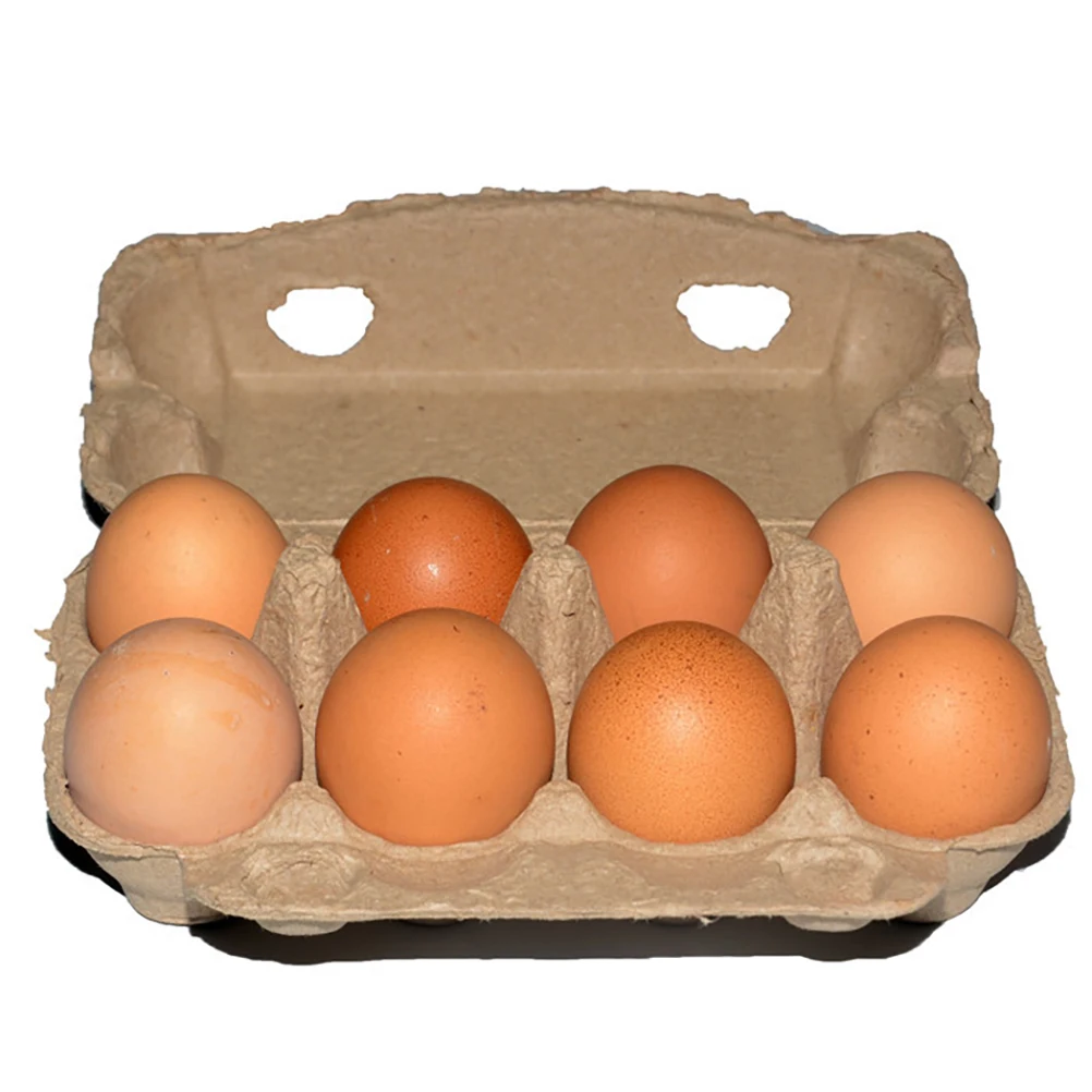 

20pcs Pulp Container Biodegradable 8 Grids Egg Holder Paper Pulp Egg Container Kitchen Restaurant Storage Safe Healthy