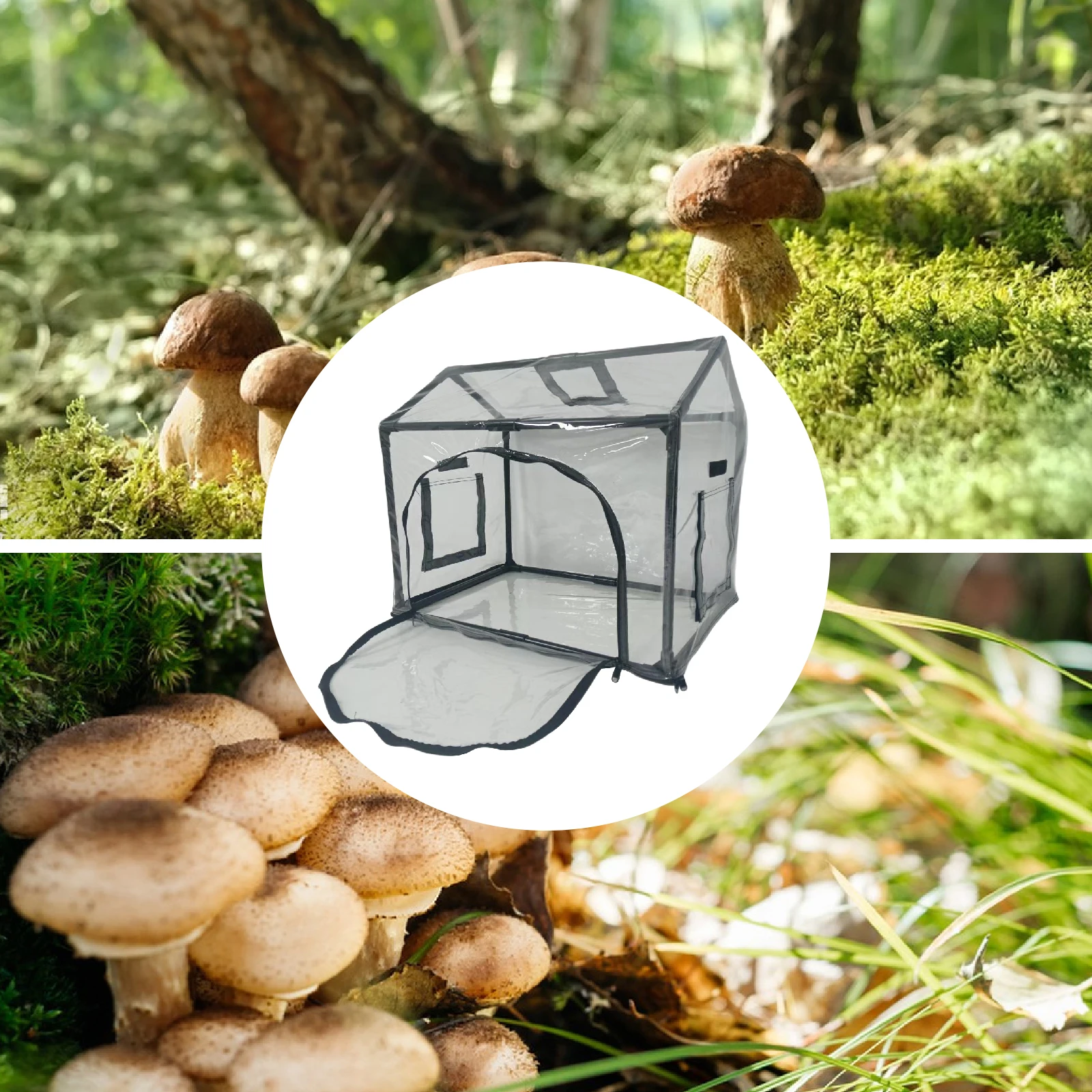 Mushroom Grow Box Portable Airtight Mini Greenhouse Container for Beginners Indoor Plant Breeding Seedling Garden Plant Grow Bag