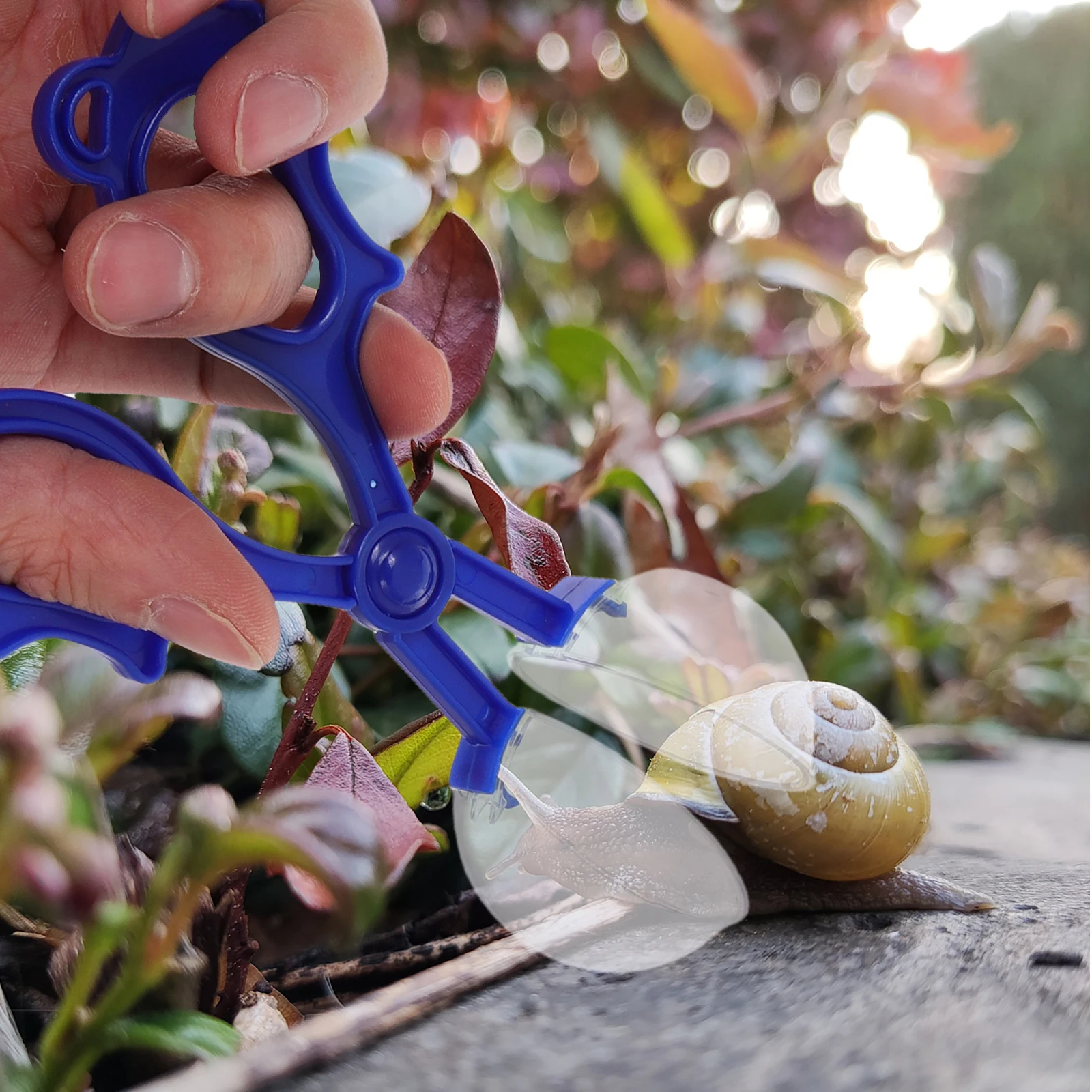 

3pcs Insect Clip Kids Scissors Plastic Tweezers Catching Tool Outdoor Play Equipment Bug Catcher Fun Educational Toys