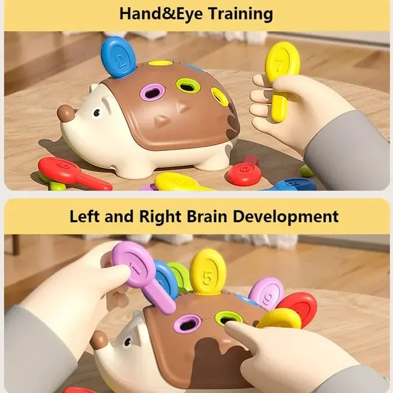 Concentration Training Education Toys Montessori Baby Hedgehog Toys Fine Motor Sensory Educational Toy for Kids Birthday Gifts