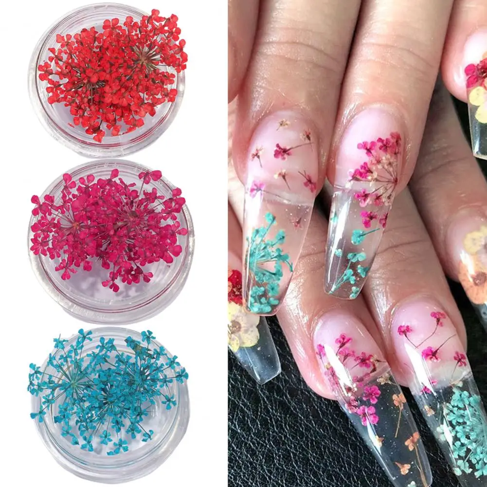 1 Box Nail Art Decorations  Natural   Dried Flower Decorations Colorful Natural Flowers DIY Nail Art Decoration