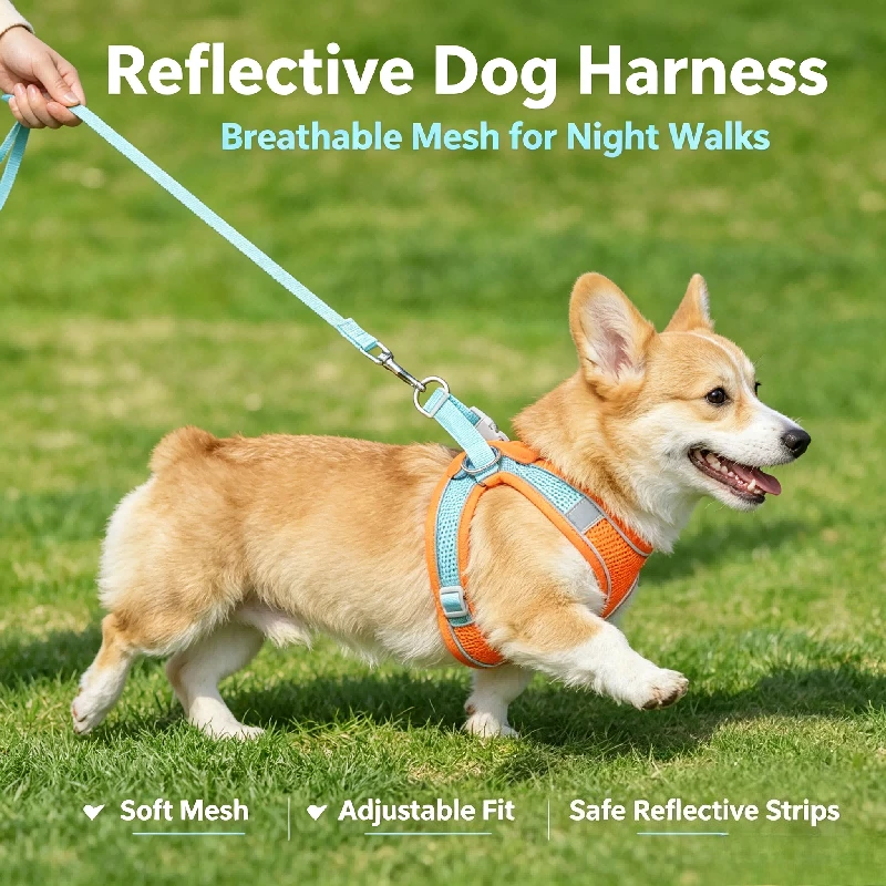 Pet Dog Harness and Leash Set for Small Medium Dog Outdoor Walking Reflective Adjustable Cat Vest Harness Chihuahua Pet Supplies