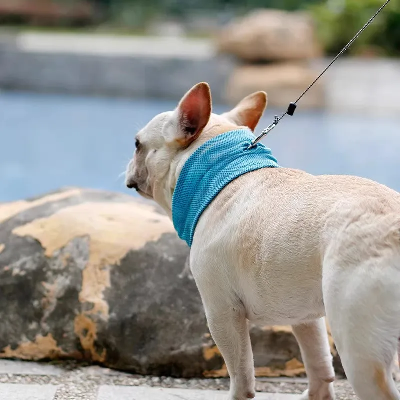 D9 Pet Summer Cooling Ice towel Mesh Breathable Dog Supplies Cat Scarf French Bulldogs Pugs Neck Cover Lightweight Quick Drying
