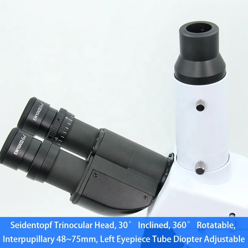 OPTO -EDU A12.1018 Quintuple Phase Contrast Swing Condenser Compound Microscopes