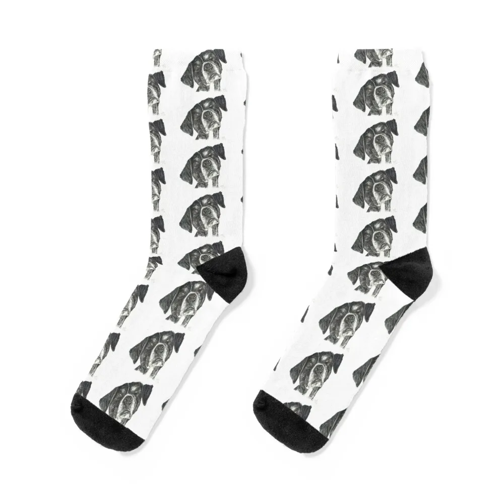 

Street dog from Greece, called Dinos Socks luxe Rugby designer Socks For Men Women's