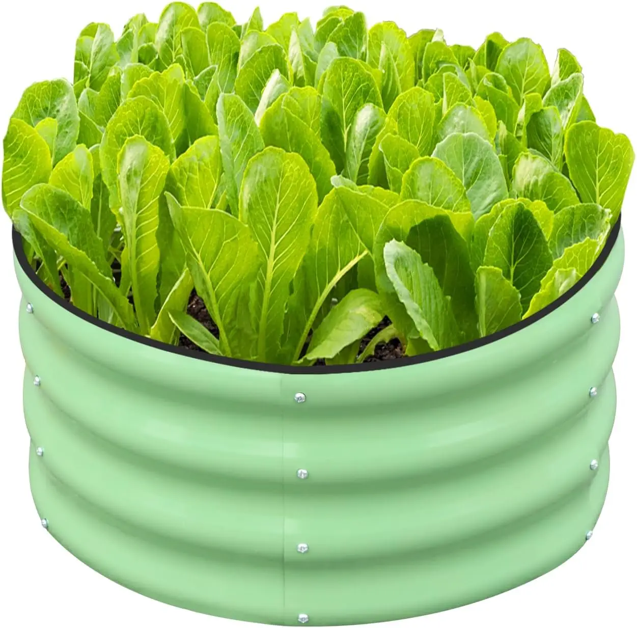 

2x2x1ft Round Galvanized Raised Garden Bed Kit, Metal Planter Box for Vegetables and Plants Outdoor