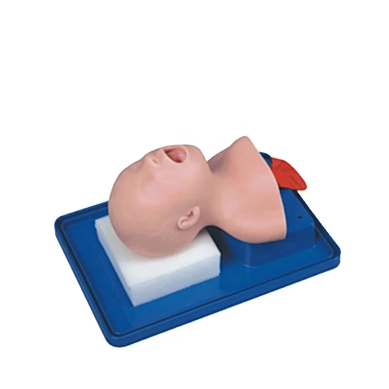 

HC-S034 Neonatal tracheal intubation training model/simulator/mannequin/manikin