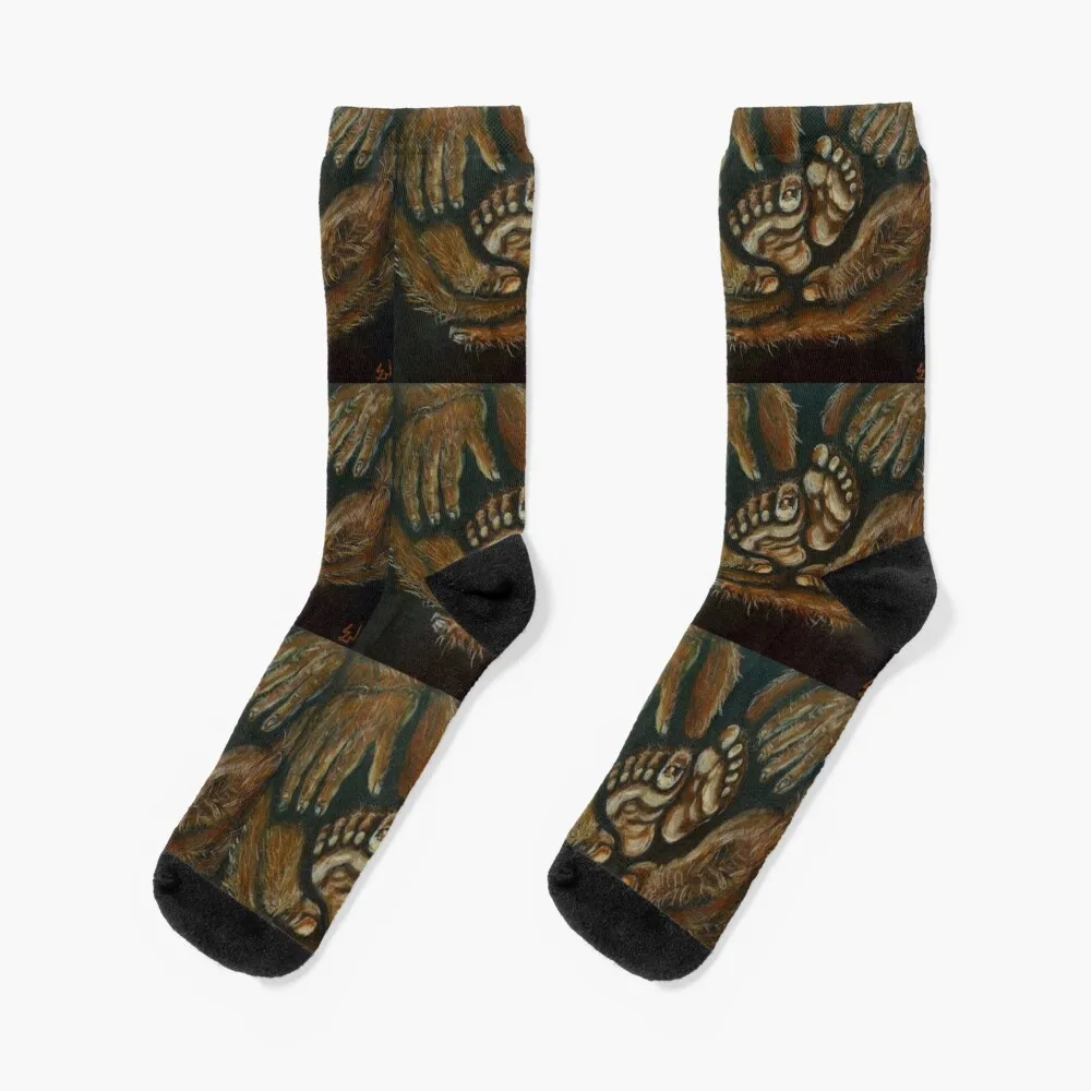 

Sasquatch Toesies Socks christmas gifts Lots men cotton high quality sports stockings Socks For Man Women's