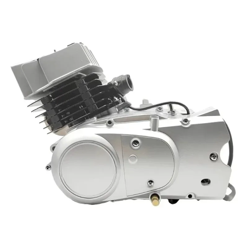 Factory Hot Selling For Lifan High Quality Motorcycle Motos 100cc Air Cooled Horizontal 2 Stroke Engine for  for  Motors Motorbi
