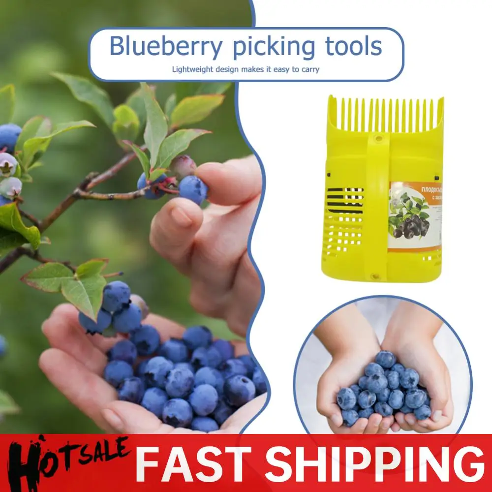 

Fruit Picker Picking Fruit Collecting Scoop Comb Rakes Handle Blueberry Collection Harvester Shovel Tool Picking Garden Tool