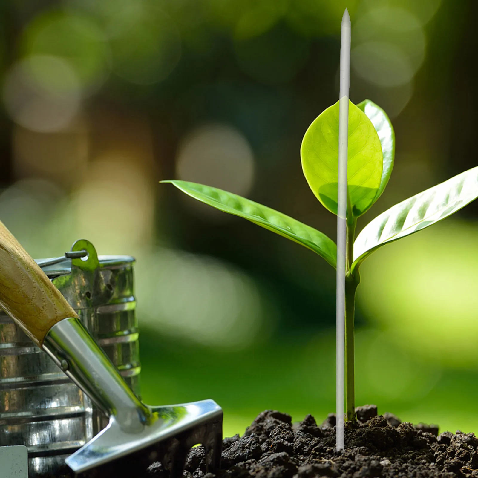 

16Pcs Acrylic Plant Support Stakes Transparent Vine Climbing Scaffold Garden Plant Stem Support Frame Stake Climbing Scaffold