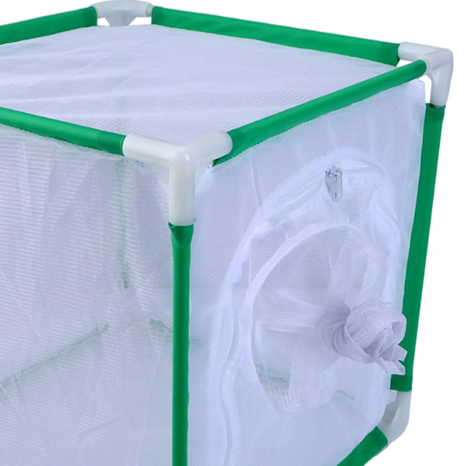 Cage, Fine Mesh Pop-Up, Collapsible Insect Rearing Habitat 4