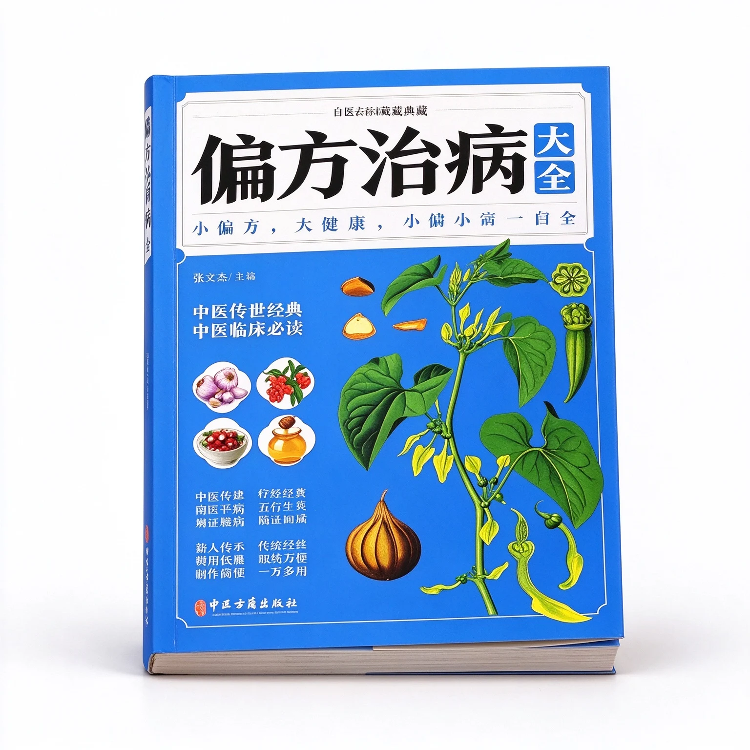 Traditional Chinese Folk Herbal Recipes Book, Color Illustrated TCM Health Preservation Reference for Home Use