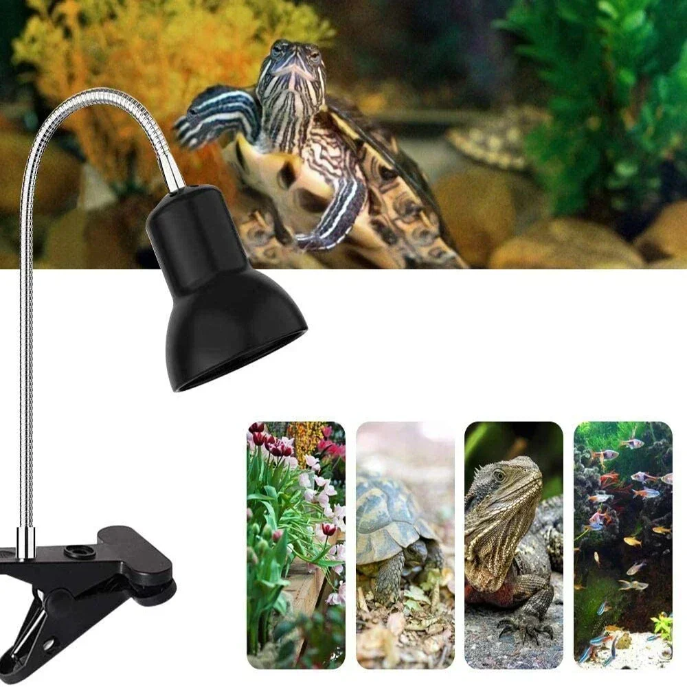 Basking Lamp Lamp Stand American Standard European Standard Reptile Pet Turtle Lizard Calcium Supplement Lamp E27 Reptile