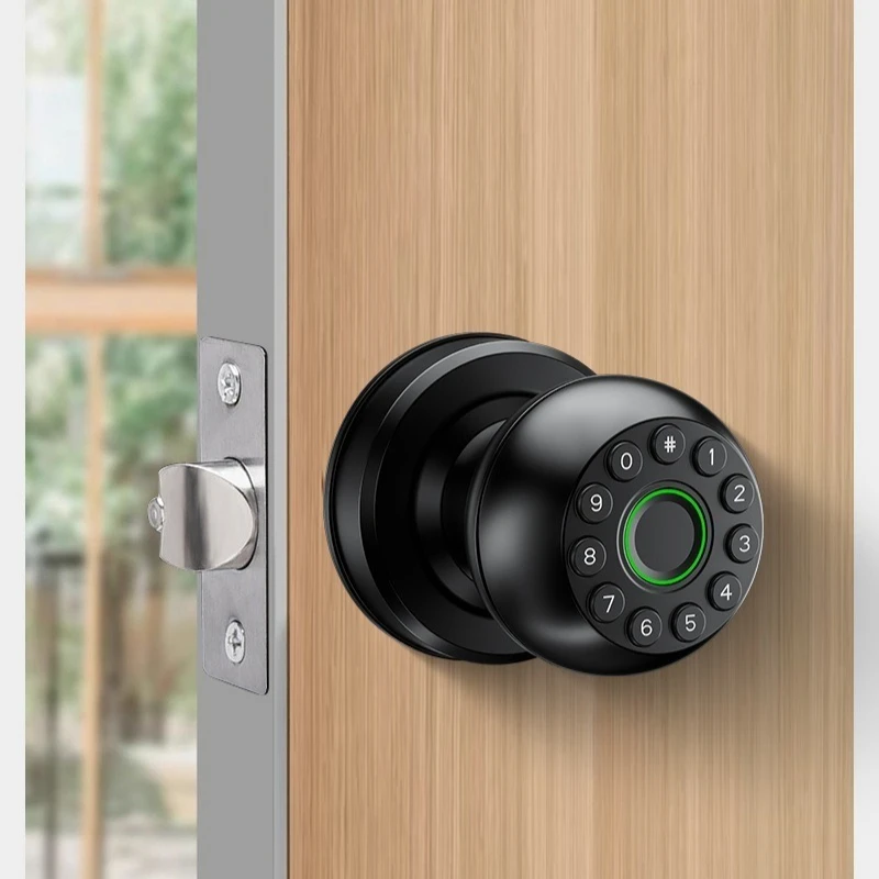 Interior Door Tuya SmartLife APP Smart Fingerprint Password Spherical Lock Dead Bolt For  Home Wooden Metal Door
