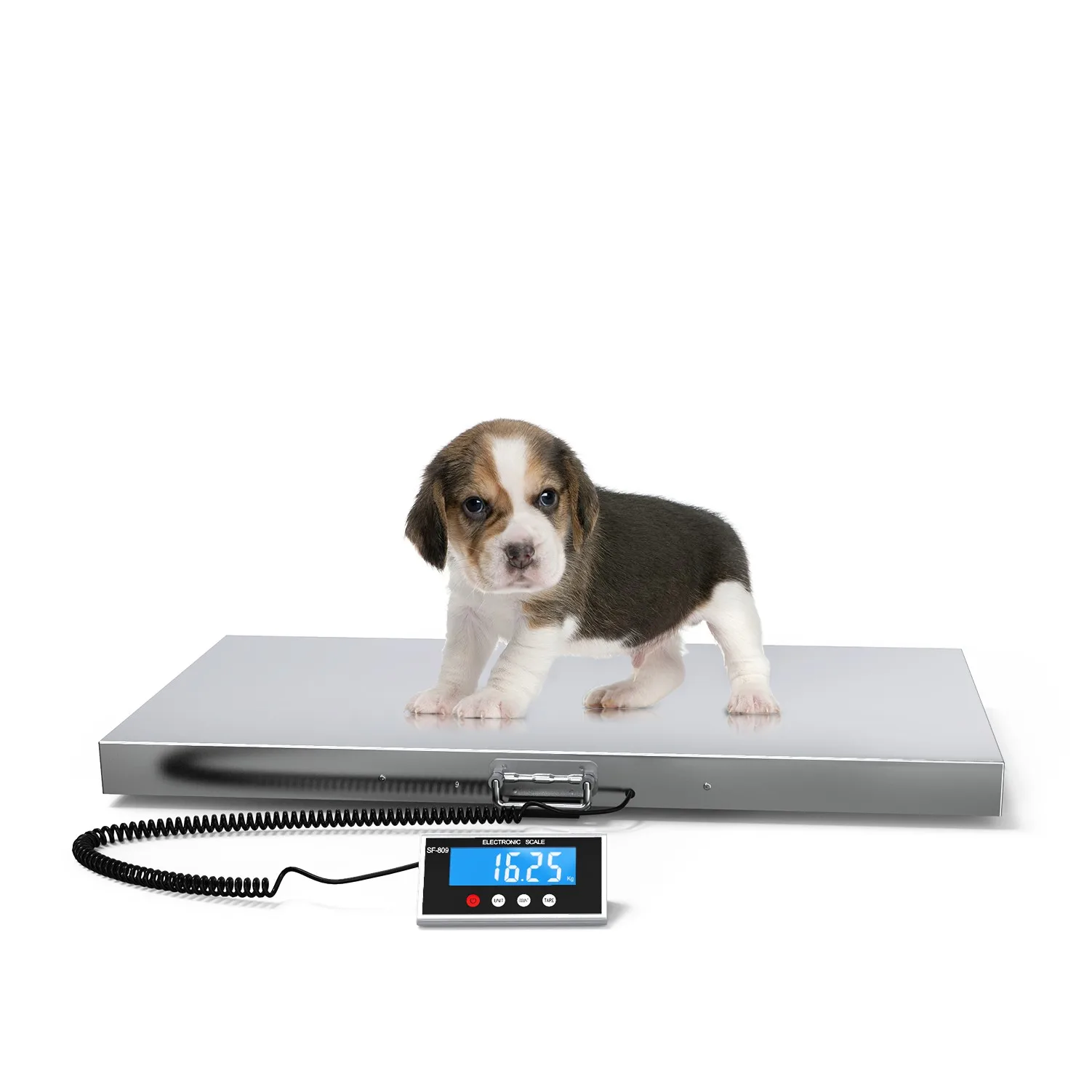 809 500kg Electronic Heavy Duty Floor Scale Digital Postal Shipping Parcel Scale