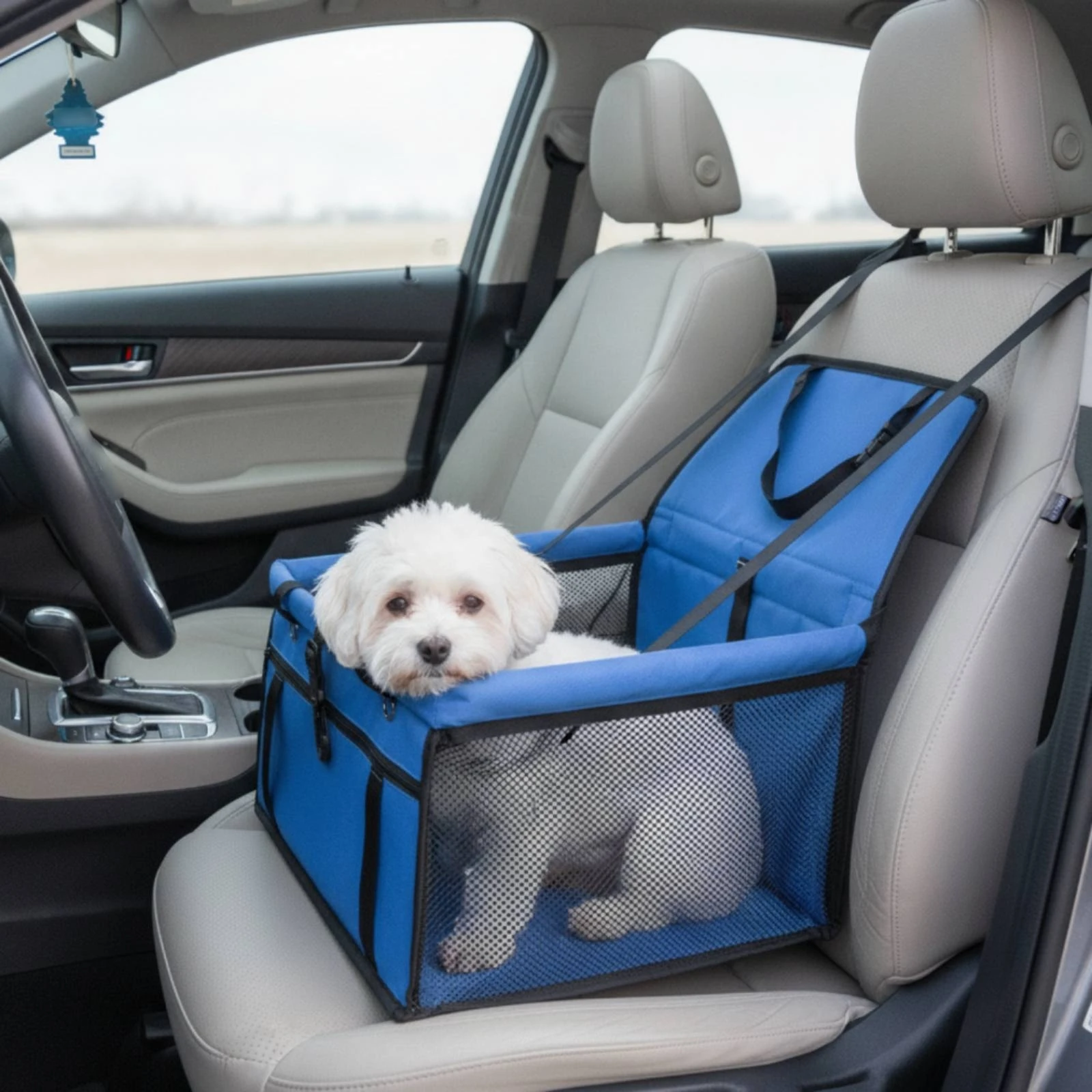 Dog Car Seat Foldable Booster Seat with Safety Strap Pet Travel Basket Collapsible Breathable for Dogs, Road Trips