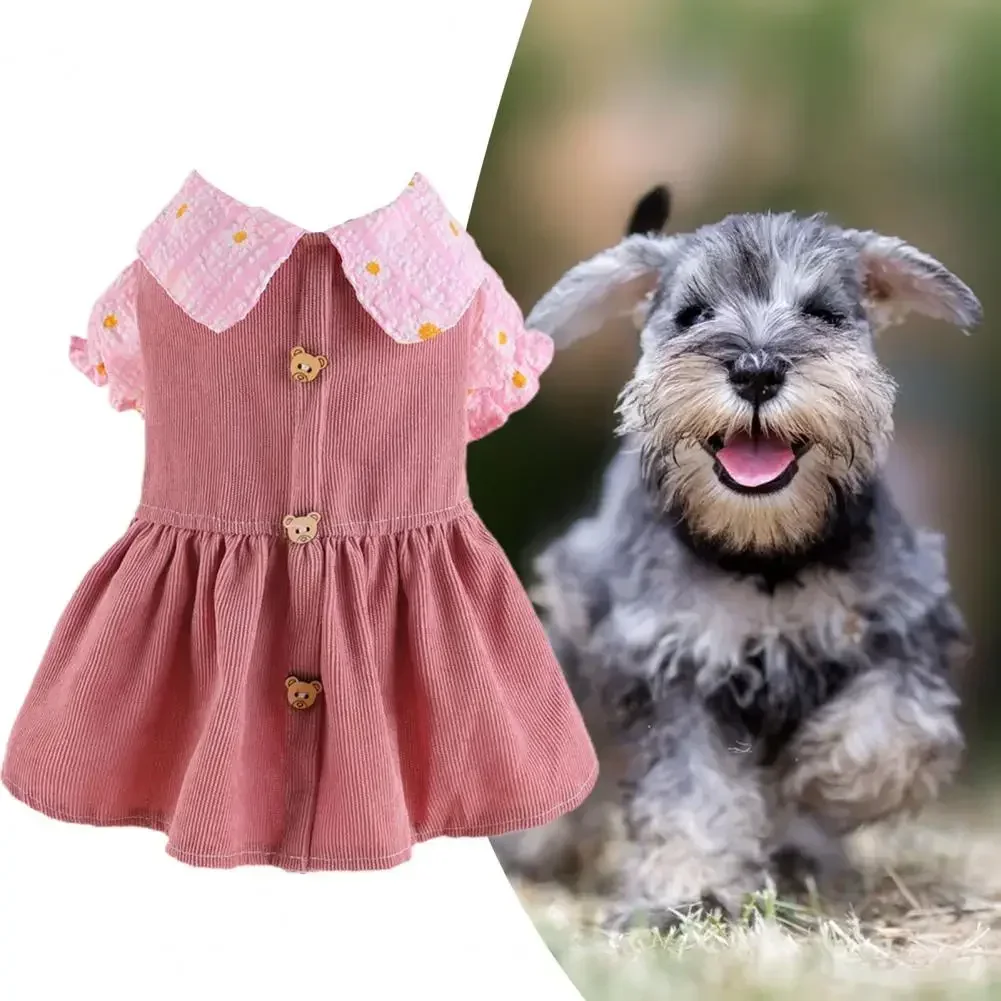 Entzückendes Haustier Prinzessin Kleid mit niedlichen Bären knopf weichen bequemen atmungsaktiven Katze Hund Kleid für Frühling Herbst Hund Kleid