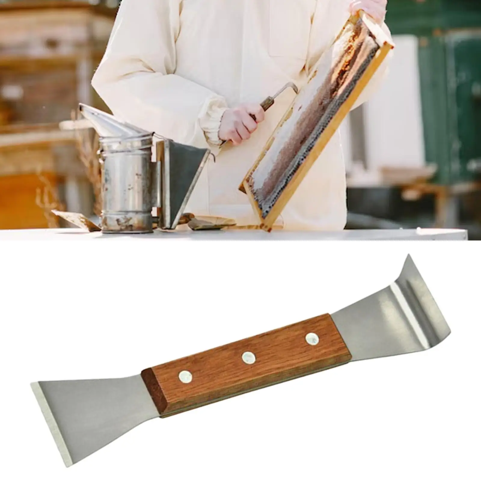 Alette per api Sollevatore per telaio Accessori per alette per api Raschiatura per la pittura