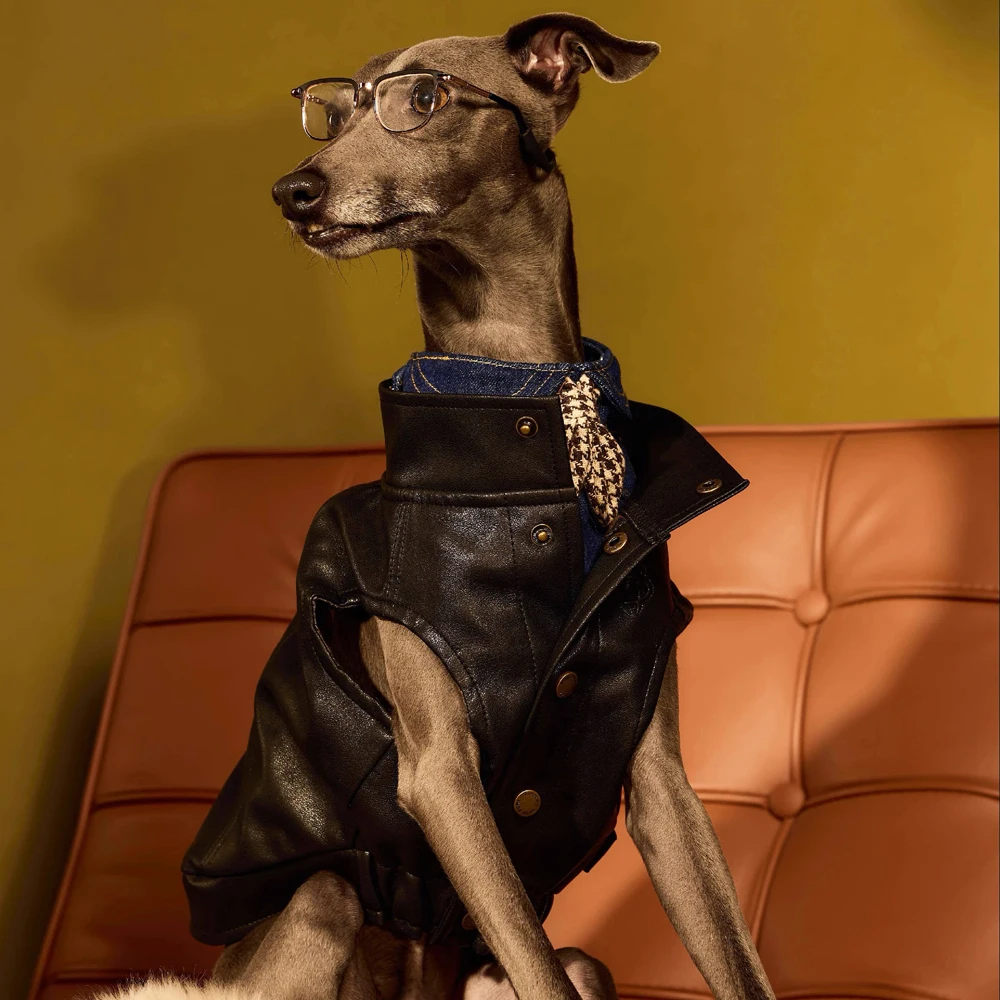 Chaqueta de cuero de invierno para perros pequeños, chaleco grueso y cálido, ropa de moda para Whippet, abrigo cortavientos para perros Terrier, Italia
