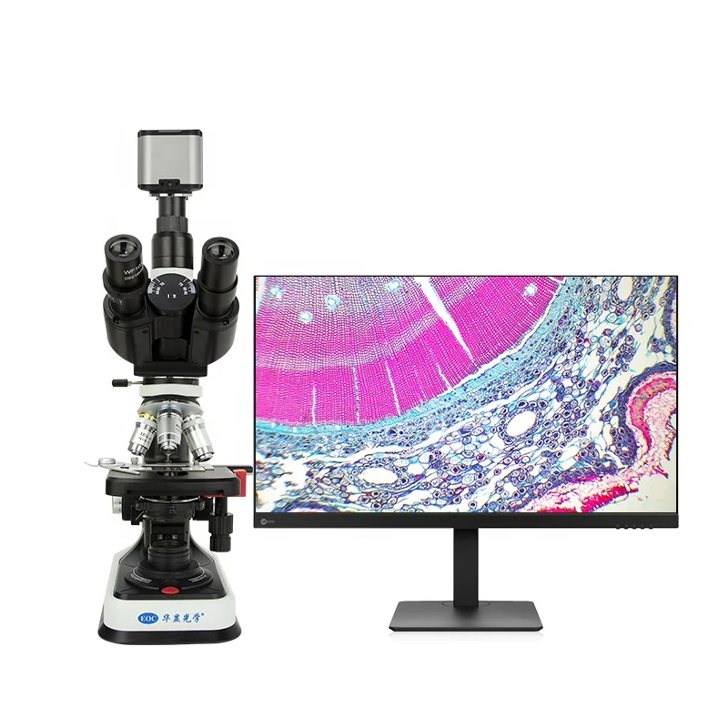 EOC Real 4K Resolution Digital Microscope Biological Microscope for School Lab Research