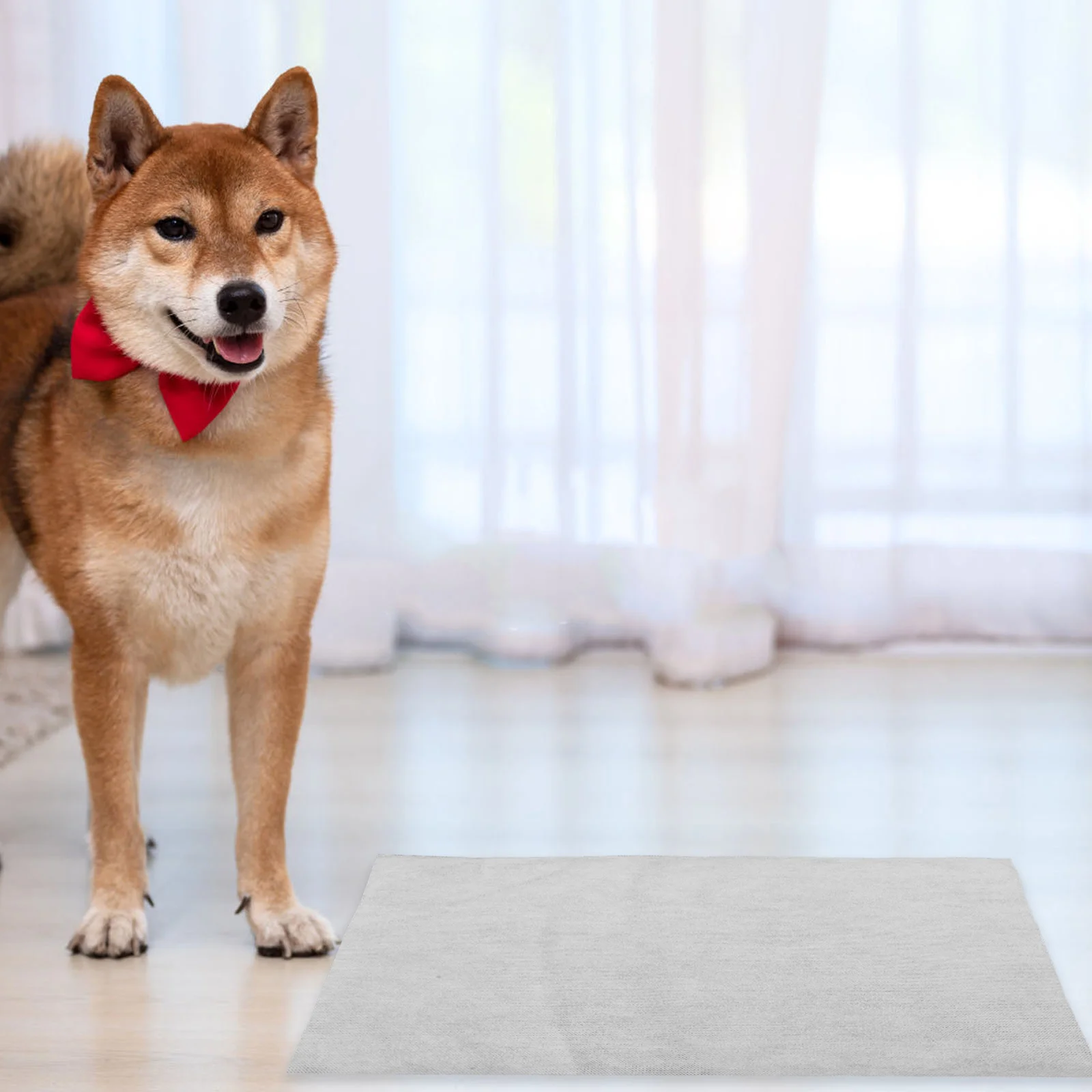 

100Pcs Pet Pee Pads Thickened Super Absorbent Quick-Dry Leakproof Training Pads for Puppies Small Dogs Cats Dog Scenting Pad