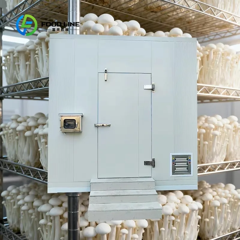 Hydroponic Container Farm Plant Factory 40ft for Leaf Vegetable Lettuce Fodder smart greenhouse for mushroom cultivation