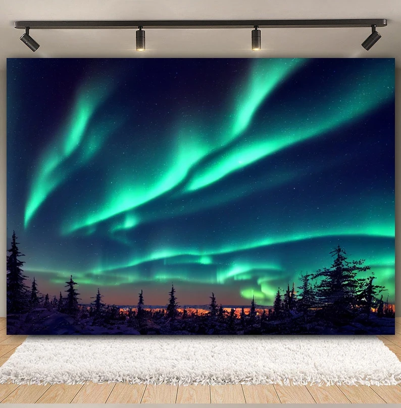 Aurora Borealis Backdrop Photography Northern Lights Arctic Snow Mountains Lake Starry Sky Scenery Winter Landscape Background