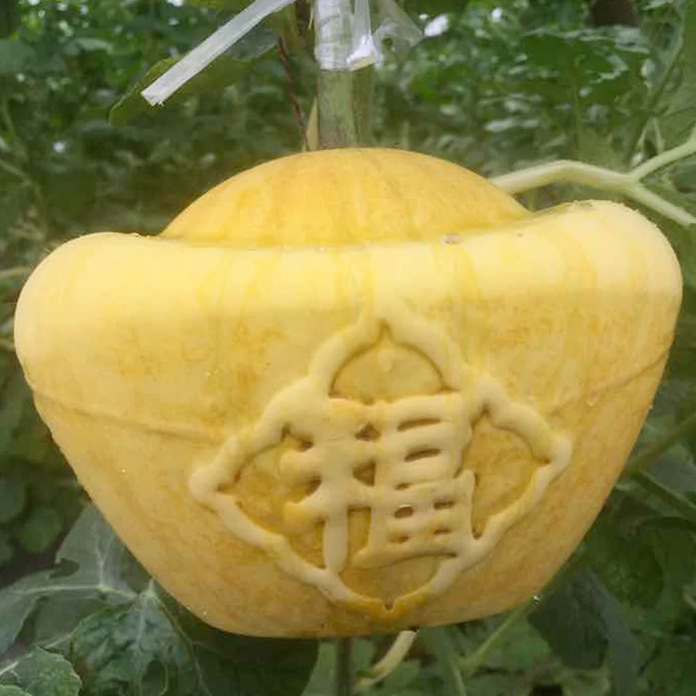 قالب تشكيل فاكهة البطيخ الجينسنغ نباتي شفاف يمكنك صنعه بنفسك قابل لإعادة الاستخدام متعدد الوظائف ملحقات البستنة الإبداعية