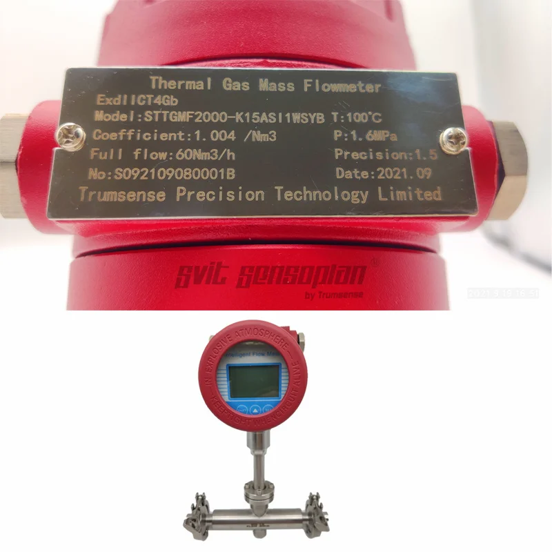 Trumsense STTGMF2000-K15ASI1WSYB DN15 수소 질량 유량계, 출력 클램프 유형, AC220V DC 24V 전원, 4 ~ 20mA 펄스 RS485