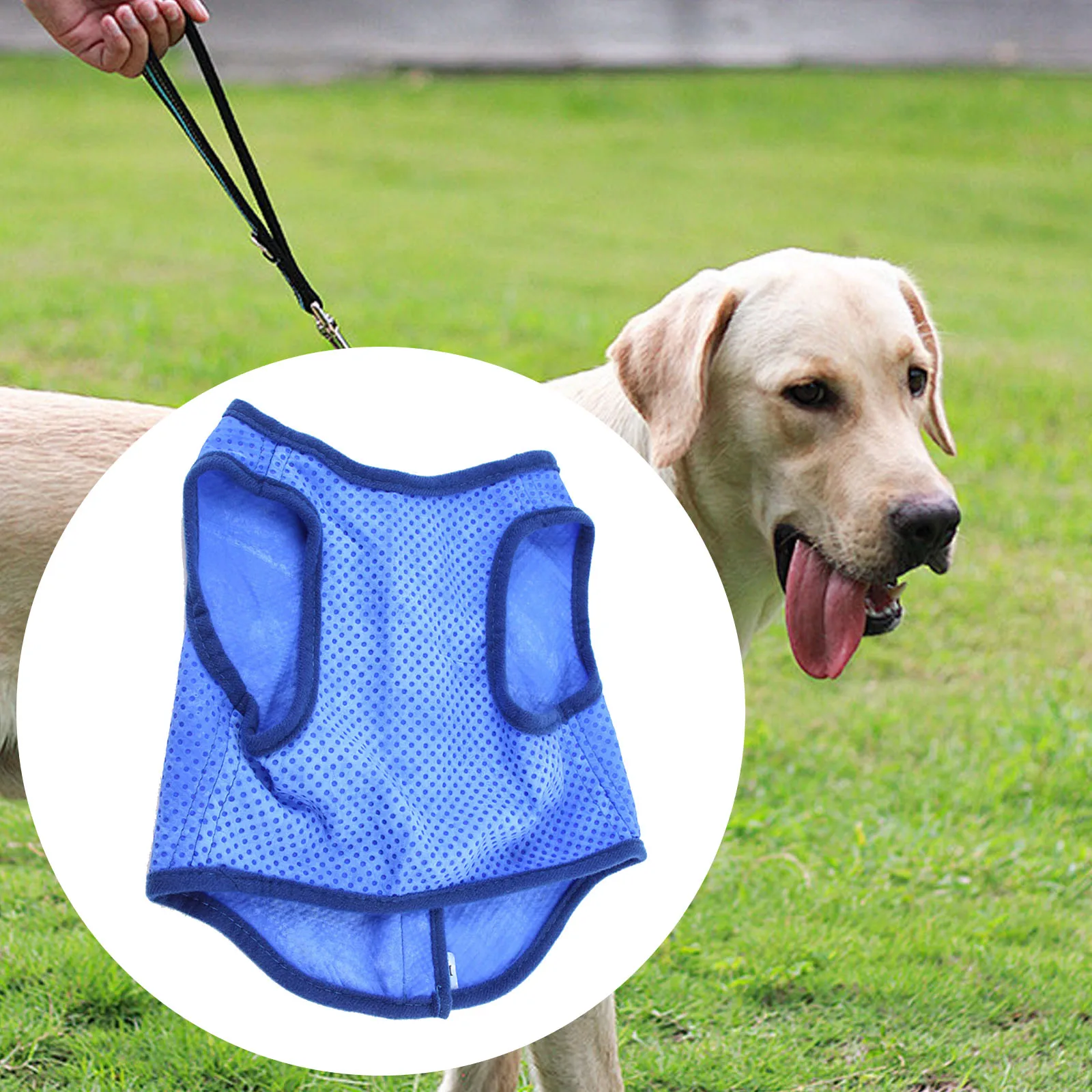 Glasure rafraîchissante pour chien, veste rafraîchissante en maille, glace pour animaux de compagnie pour la marche en plein air, la plage et la randonnée, été