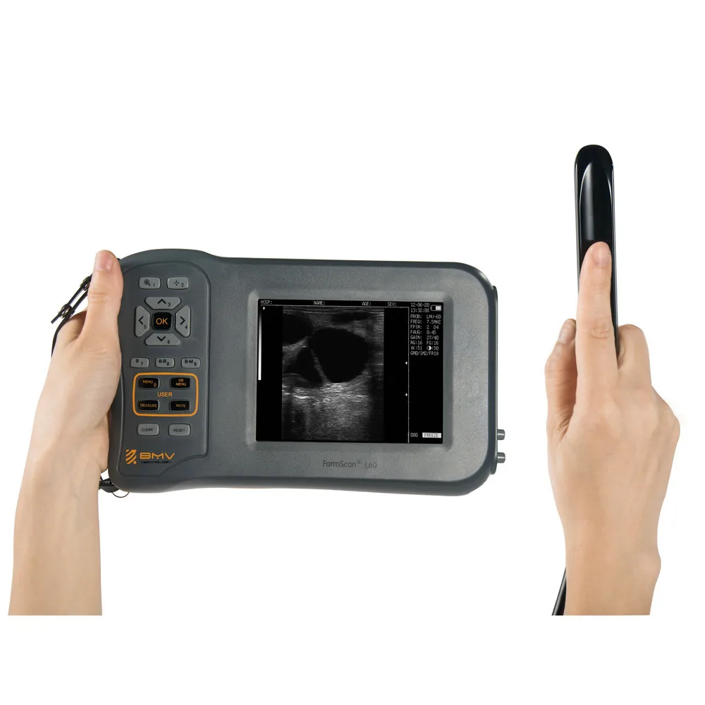 BMV Handheld Veterinary Ultrasound Portable Ecografo unilever Farmscan L60 Veterinary Ultrasound Veterinary