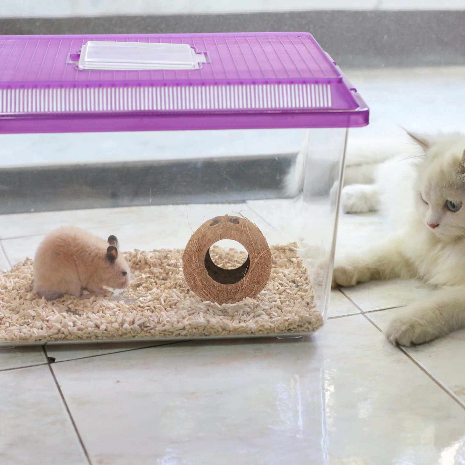 

1pc Hamster Lizard Hiding Cave Coconut Shell Nest For Parrot Natural Birds Sleeping Shelter Pet Supply Lizard Shelter Birds